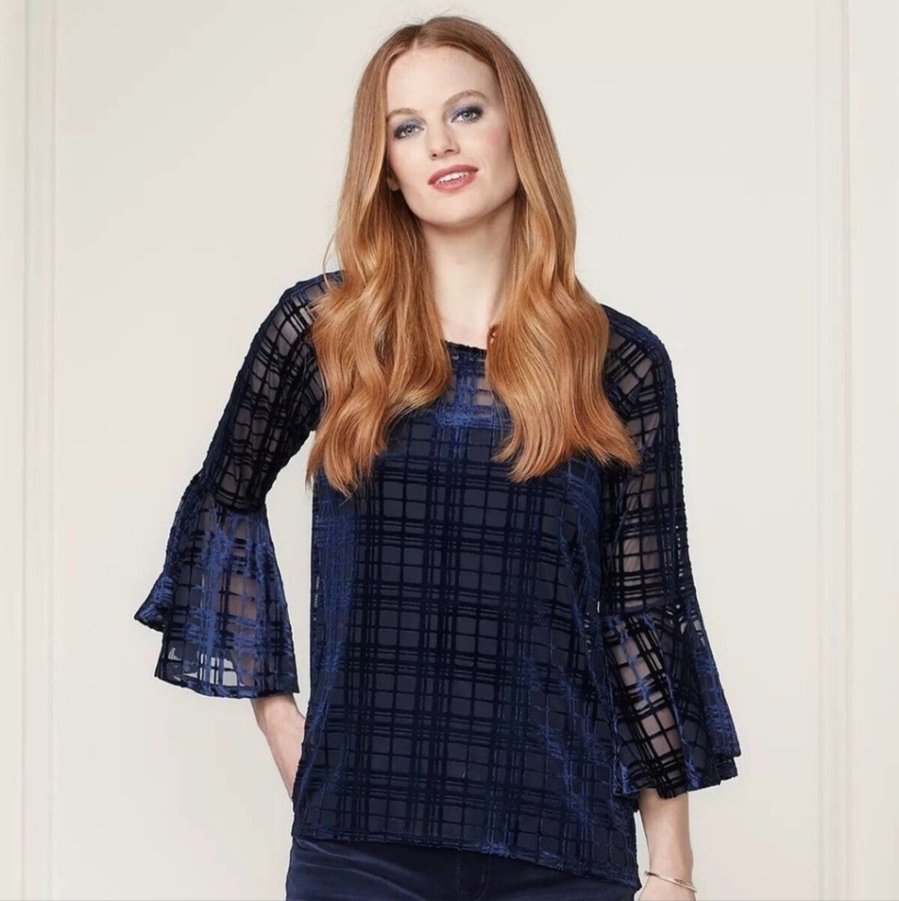 LC Lauren Conrad Sheer Velvet Top